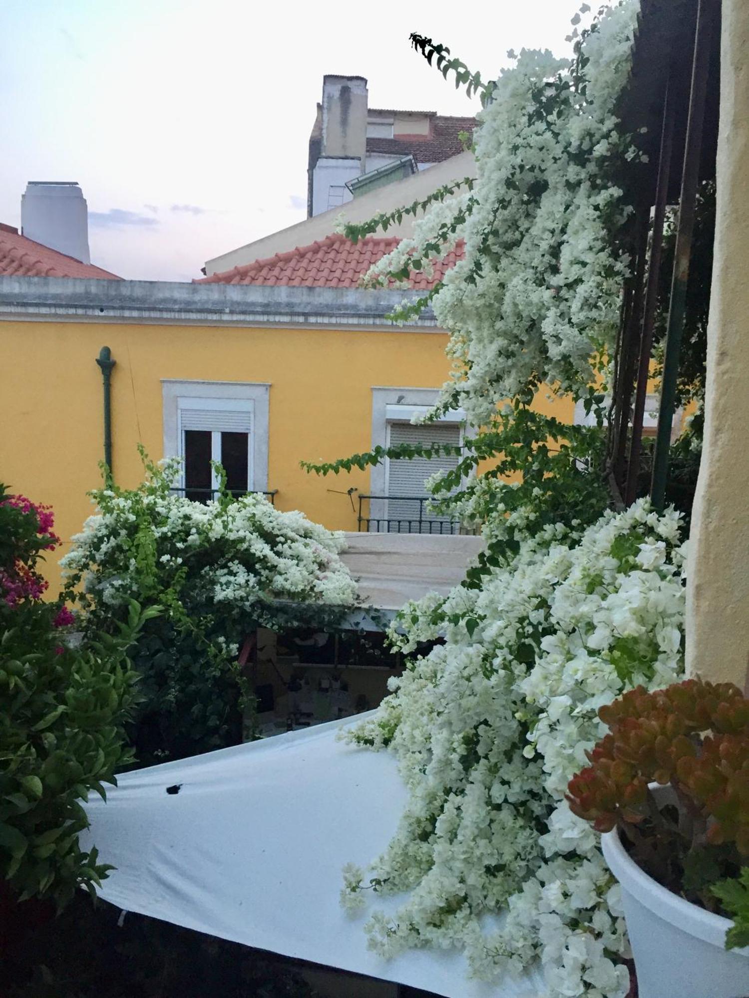 Unique Apartamento